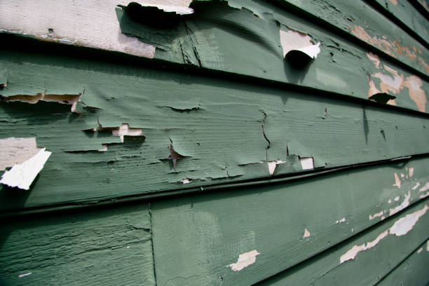 Professional Junk Removal in Wolfdale, PA
